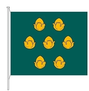 kategorija-asmenines-veliavos
